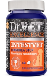 INTESTVET DR VET