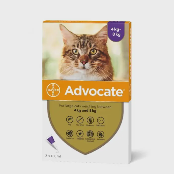 ADVOCATE za mace 4-8kg